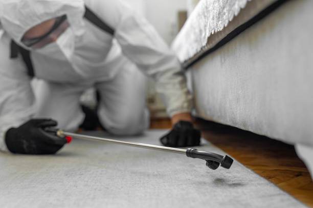 Professional Ant Control technician working in Cameron Park, TX